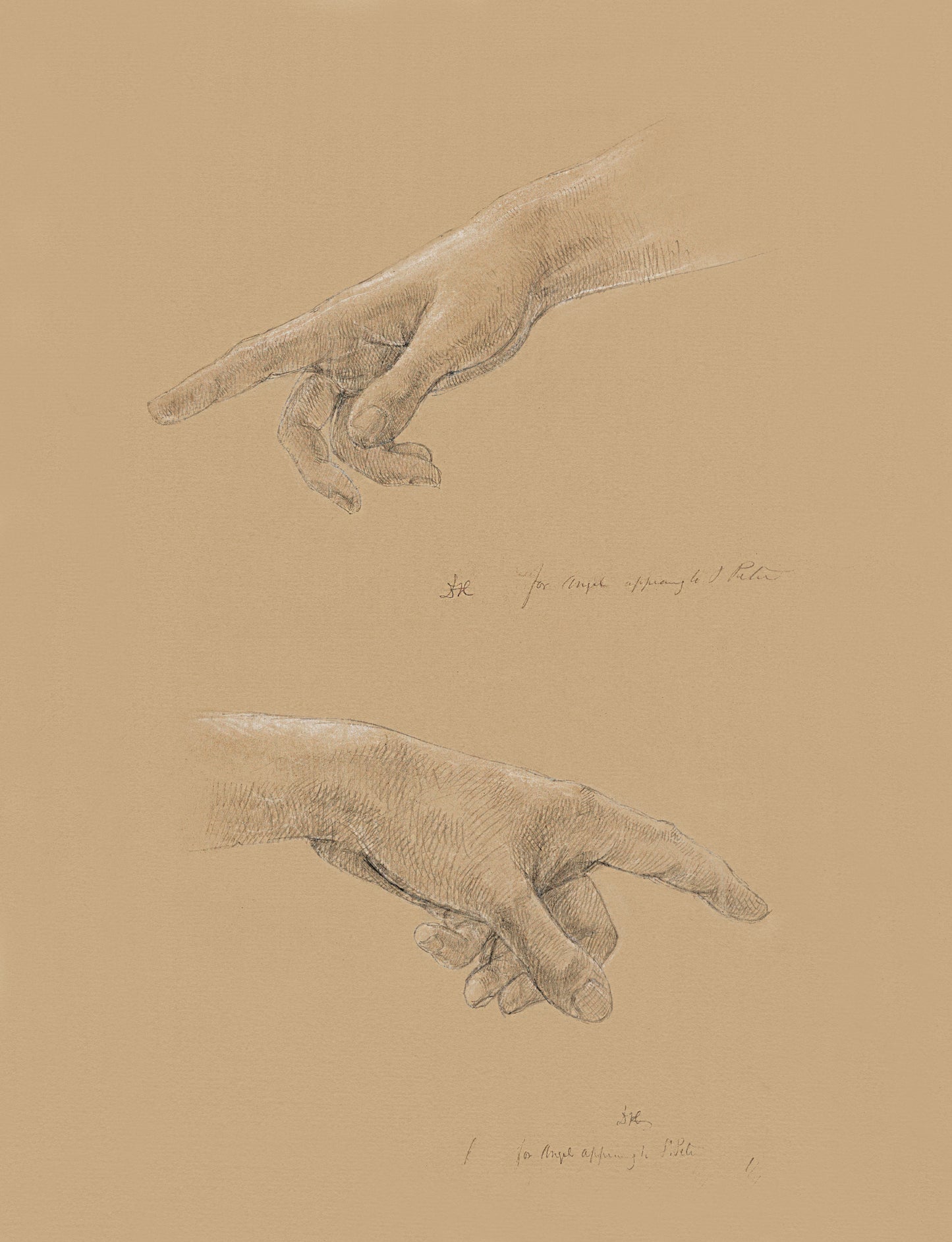 Study Of A Hand