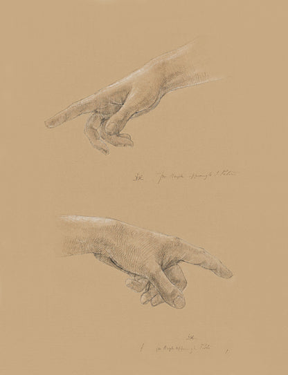 Study Of A Hand