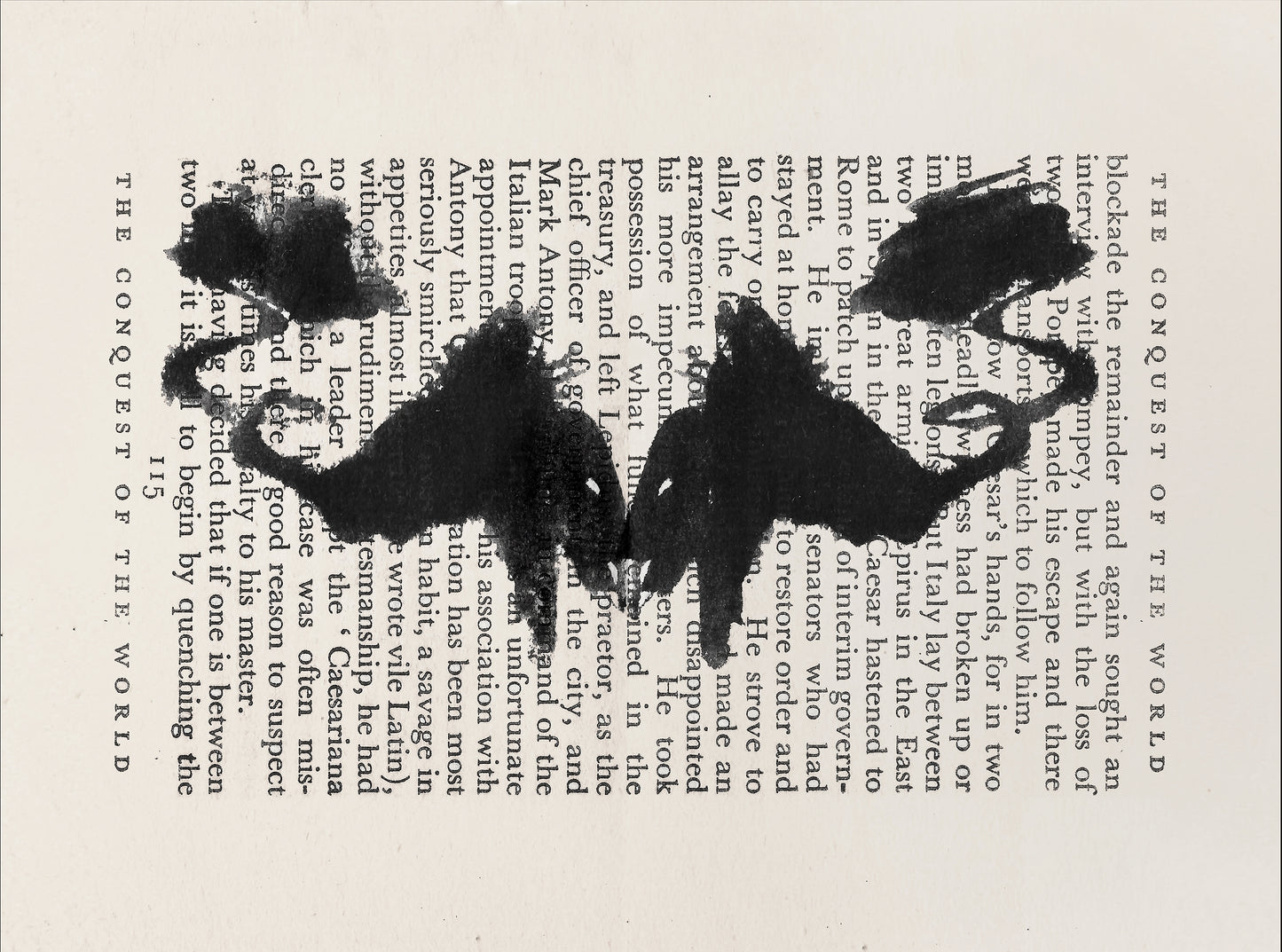 Ink Blot Test #11