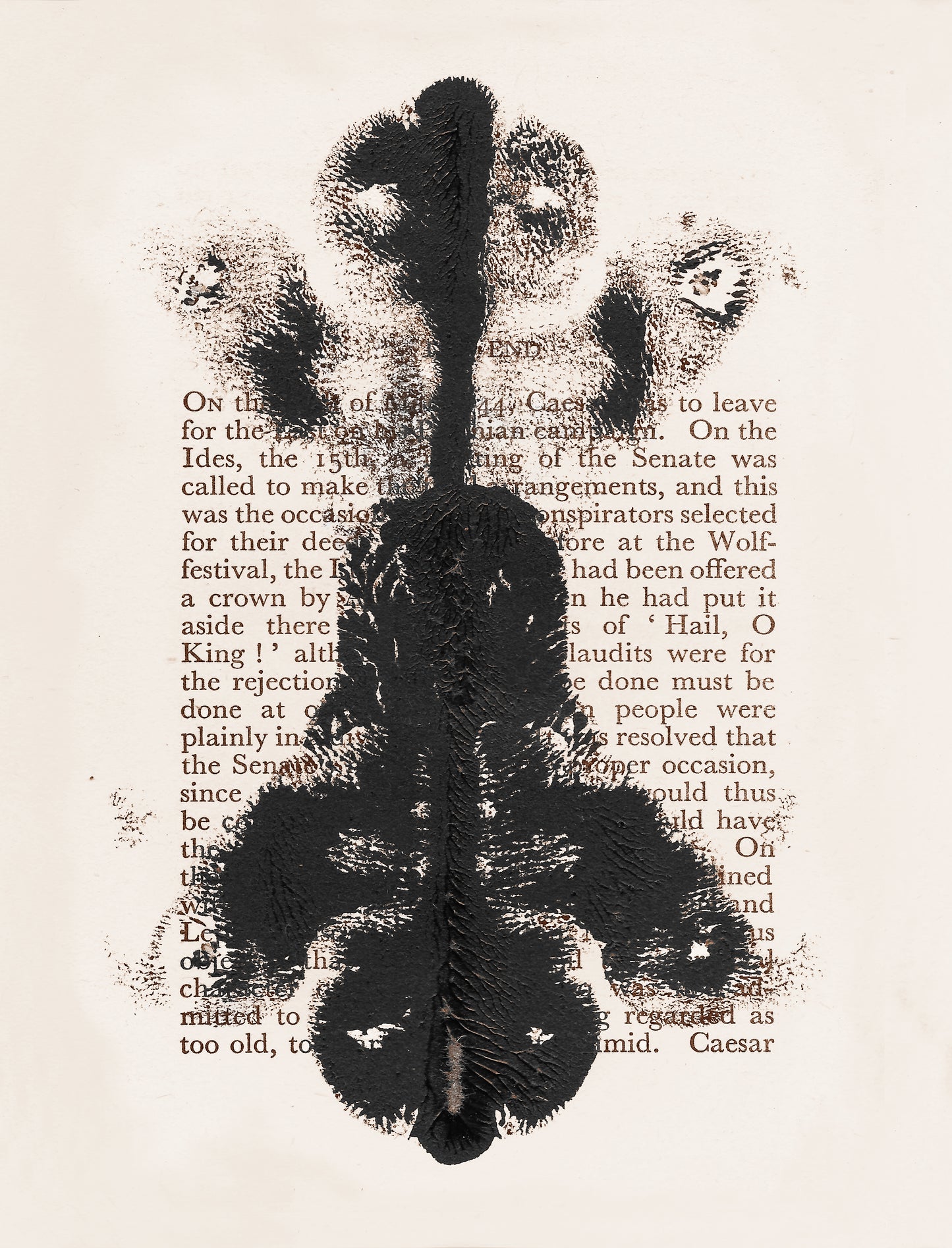 Ink Blot Test #8