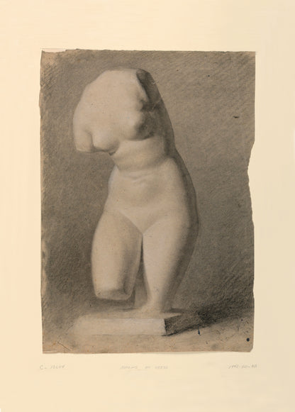 Female Torso